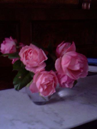 Rosenzimmer_1