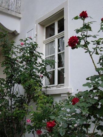 Rosenzimmer_2