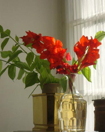 Vogesenzimmer_1
