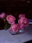Rosenzimmer_1