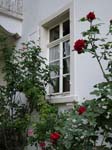 Rosenzimmer_2